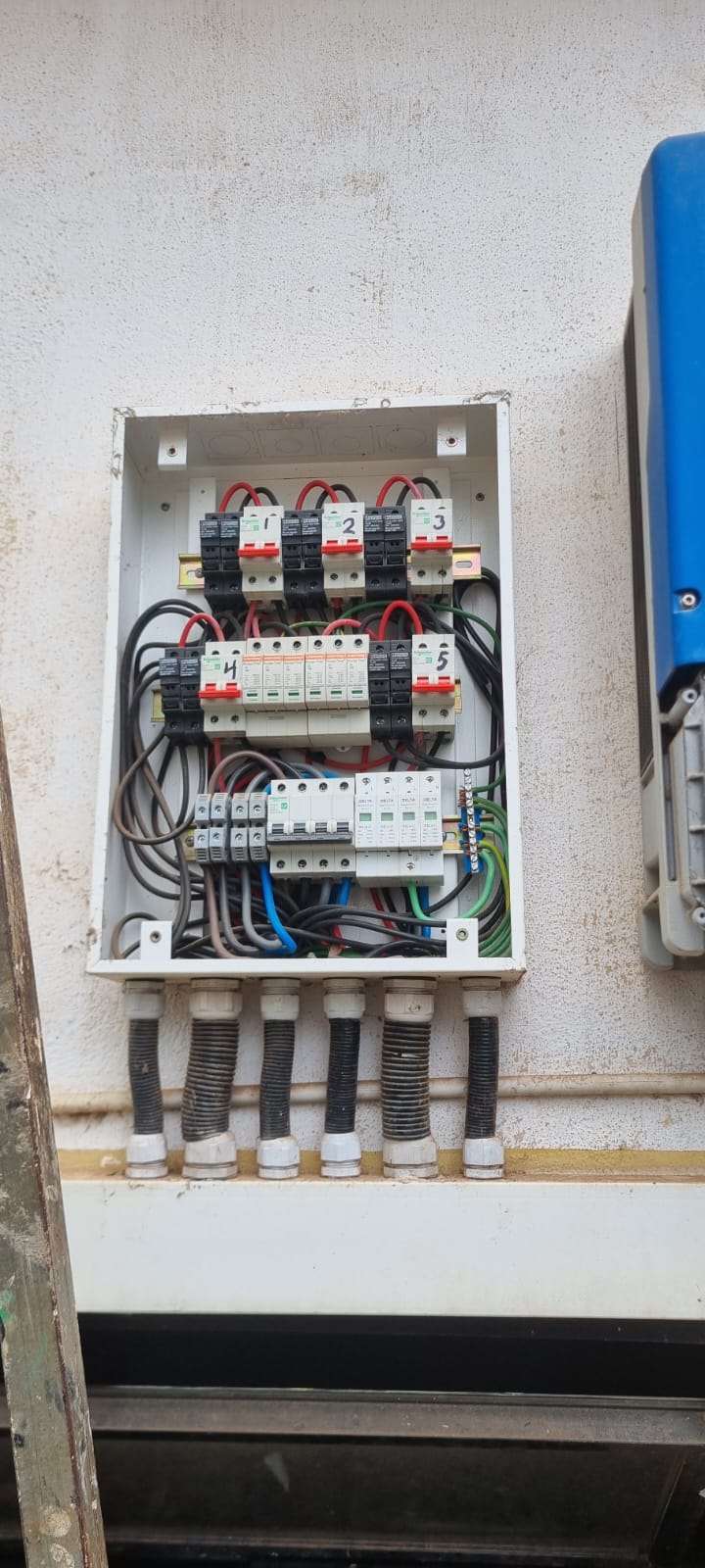 WhatsApp Image 2025-11-29 at 10.29.09 AM (3).jpeg